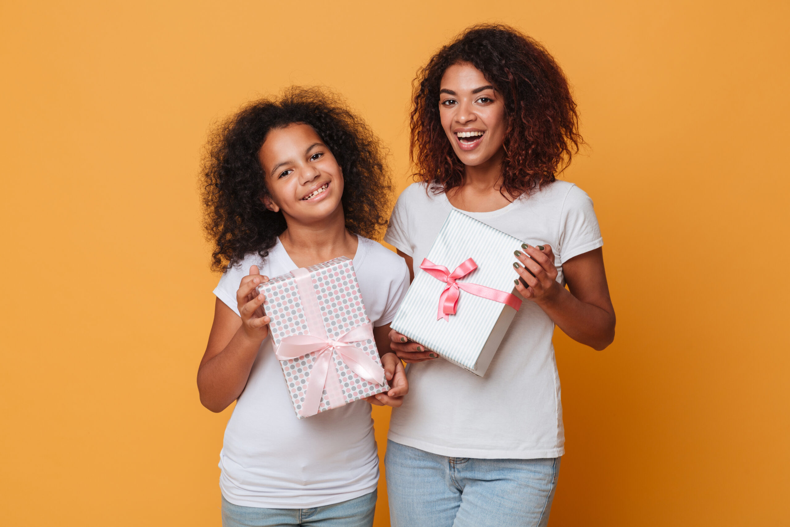 Portrait of a two pretty afro american sisters
